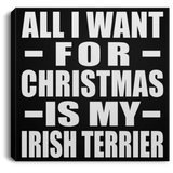 All I Want For Christmas Is My Irish Terrier - Canvas Square