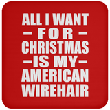 All I Want For Christmas Is My American Wirehair - Coaster