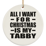 All I Want For Christmas Is My Tabby - Circle Ornament