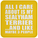 All I Care About Is My Sealyham Terrier - Drink Coaster