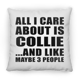 All I Care About Is Collie - Throw Pillow