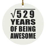 23rd Birthday Square Root of 529 Years of Being Awesome - Circle Ornament