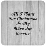 All I Want For Christmas Is My Wire Fox Terrier - Drink Coaster F
