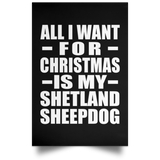 All I Want For Christmas Is My Shetland Sheepdog - Poster Portrait