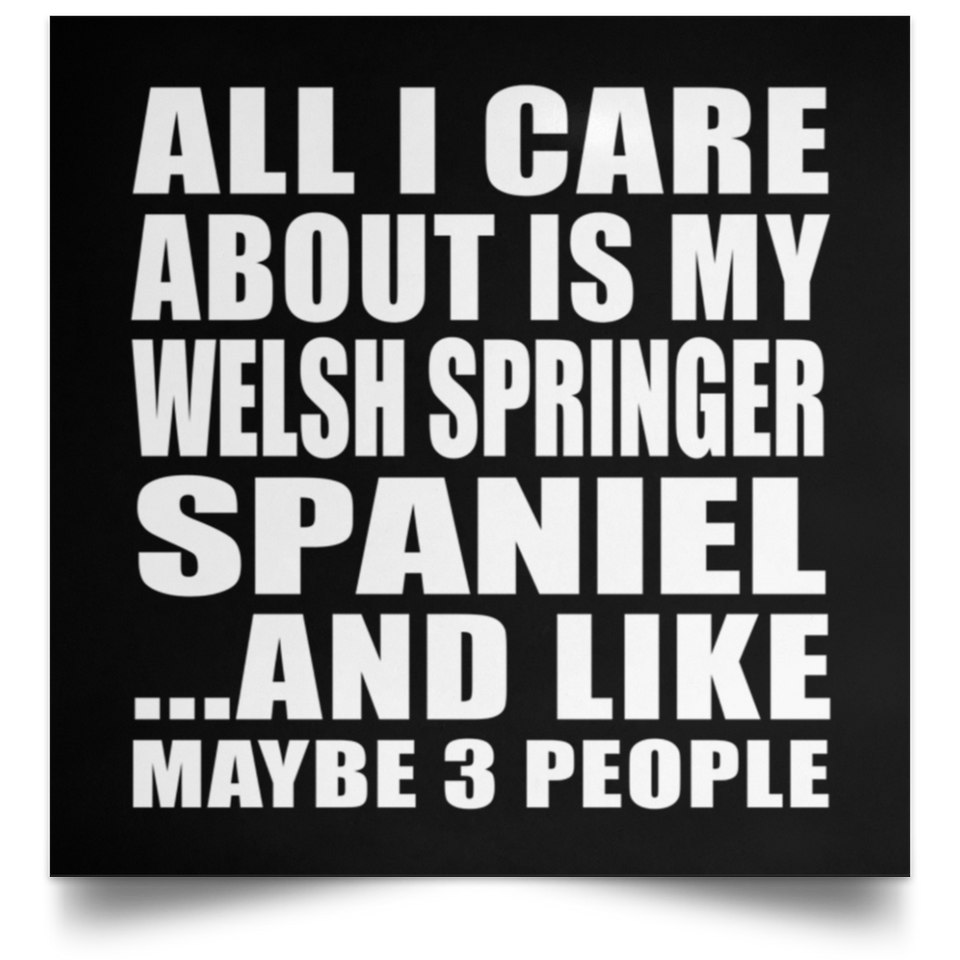 All I Care About Is My Welsh Springer Spaniel - Poster Square