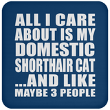 All I Care About Is My Domestic Shorthair Cat - Drink Coaster