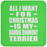 All I Want For Christmas Is My Dandie Dinmont Terrier - Coaster