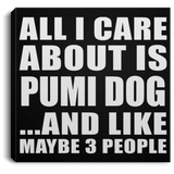 All I Care About Is Pumi Dog - Canvas Square