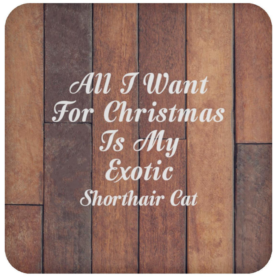 All I Want For Christmas Is My Exotic Shorthair Cat - Drink Coaster E