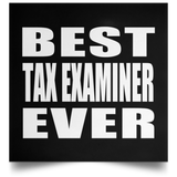 Best Tax Examiner Ever - Poster Square