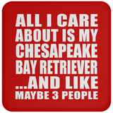 All I Care About Is My Chesapeake Bay Retriever - Drink Coaster