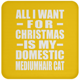 All I Want For Christmas Is My Domestic Mediumhair Cat - Coaster