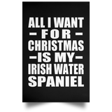All I Want For Christmas Is My Irish Water Spaniel - Poster Portrait