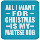 All I Want For Christmas Is My Maltese Dog - Coaster