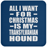 All I Want For Christmas Is My Transylvanian Hound - Coaster