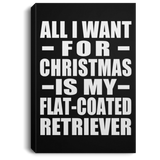 All I Want For Christmas Is My Flat-Coated Retriever - Canvas Portrait
