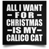 All I Want For Christmas Is My Calico Cat - Poster Square