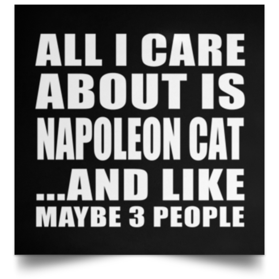 All I Care About Is Napoleon Cat - Poster Square