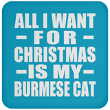 All I Want For Christmas Is My Burmese Cat - Coaster