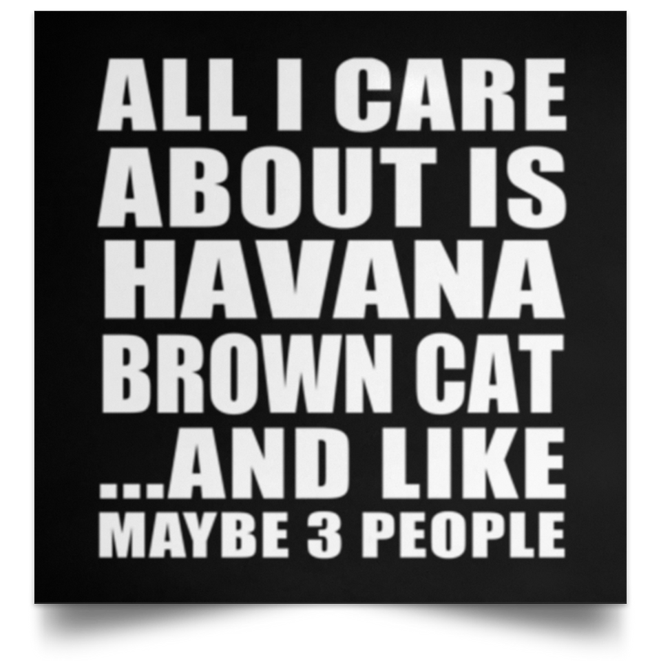 All I Care About Is Havana Brown Cat - Poster Square