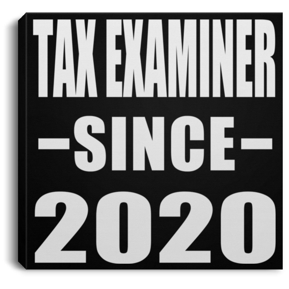Tax Examiner Since 2020 - Canvas Square
