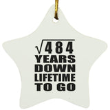 22nd Anniversary Square Root of 484 Years Lifetime To Go - Star Ornament