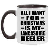 All I Want For Christmas Is My Lancashire Heeler - 11oz Accent Mug Black