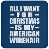 All I Want For Christmas Is My American Wirehair - Coaster