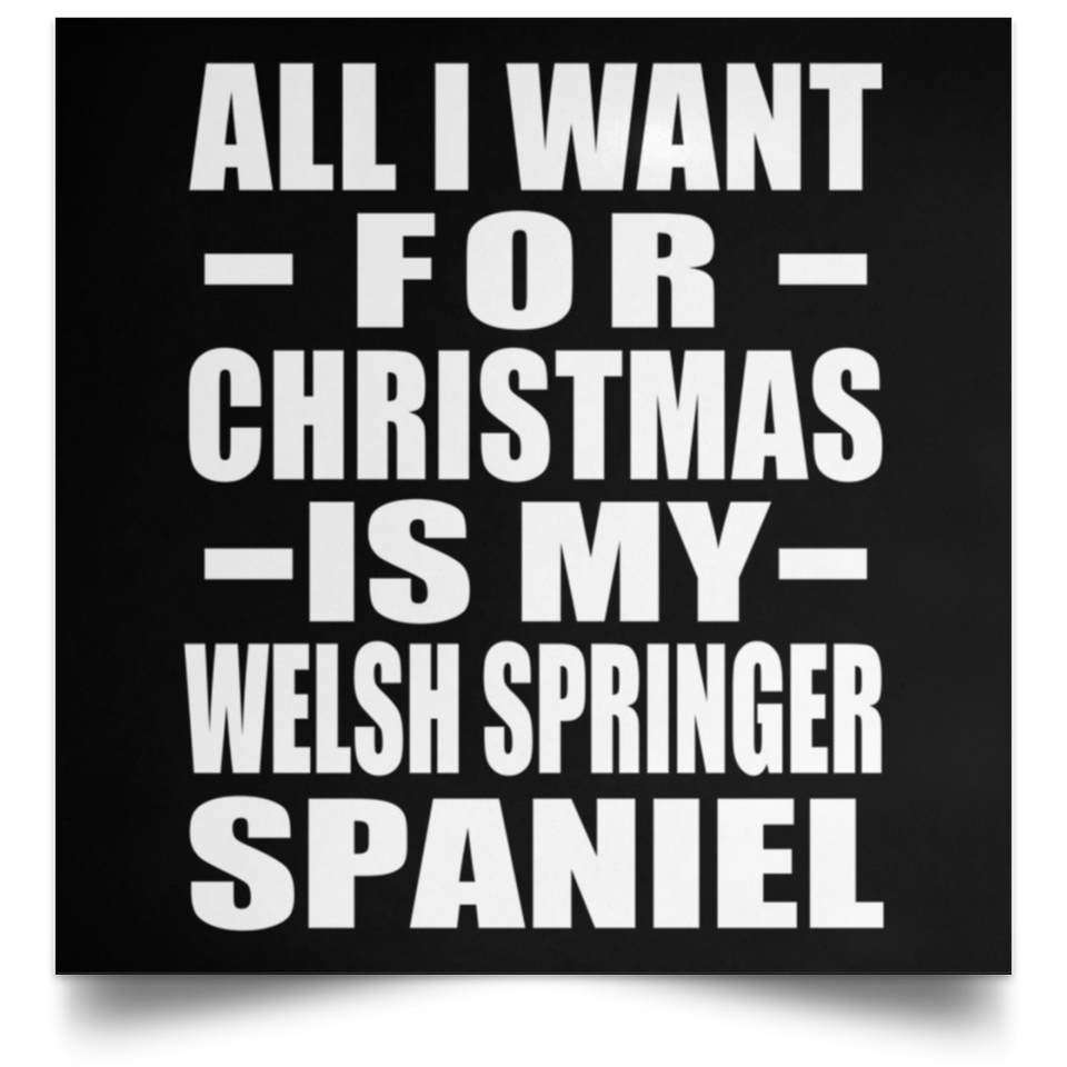 All I Want For Christmas Is My Welsh Springer Spaniel - Poster Square