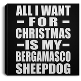 All I Want For Christmas Is My Bergamasco Sheepdog - Canvas Square