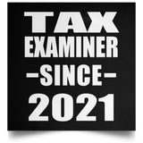 Tax Examiner Since 2021 - Poster Square