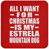 All I Want For Christmas Is My Estrela Mountain Dog - Coaster