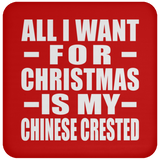 All I Want For Christmas Is My Chinese Crested - Coaster