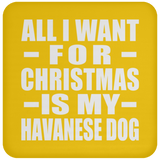 All I Want For Christmas Is My Havanese Dog - Coaster