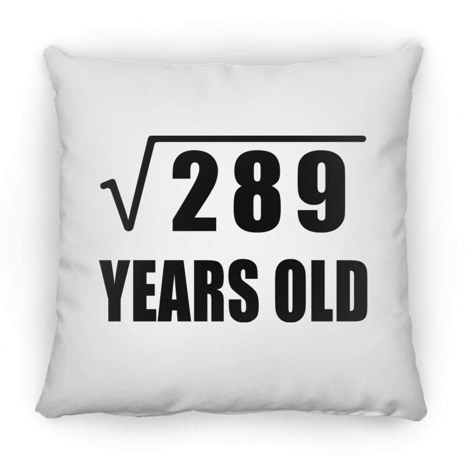 17th Birthday Square Root of 289 Years Old - Throw Pillow