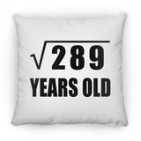 17th Birthday Square Root of 289 Years Old - Throw Pillow