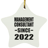 Management Consultant Since 2022 - Star Ornament