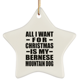 All I Want For Christmas Is My Bernese Mountain Dog - Star Ornament