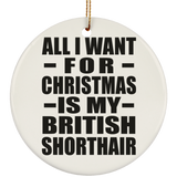 All I Want For Christmas Is My British Shorthair - Circle Ornament
