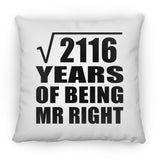 46th Anniversary Square Root of 2116 Years of Being Mr Right - Throw Pillow