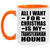 All I Want For Christmas Is My Transylvanian Hound - 11oz Accent Mug Orange