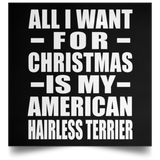 All I Want For Christmas Is My American Hairless Terrier - Poster Square