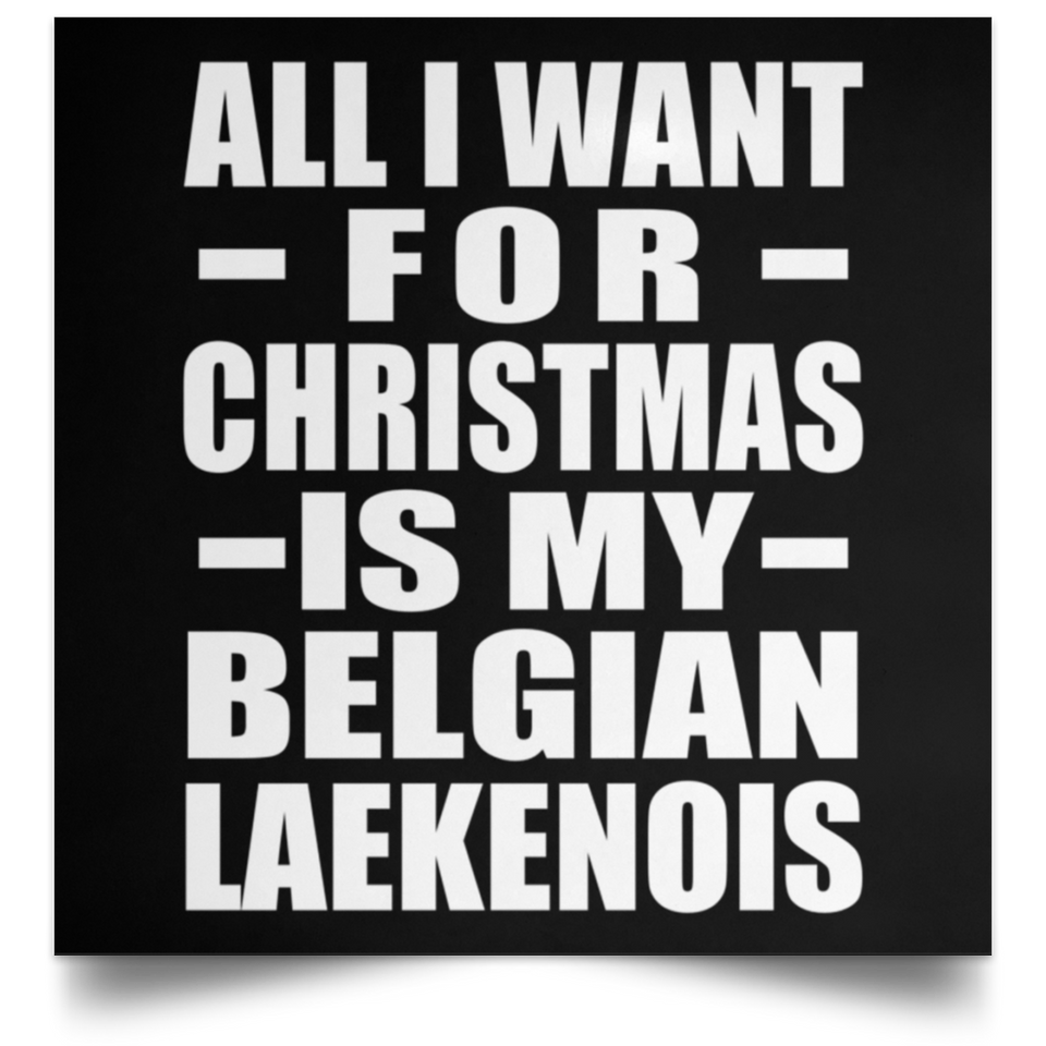 All I Want For Christmas Is My Belgian Laekenois - Poster Square