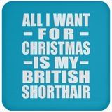 All I Want For Christmas Is My British Shorthair - Coaster