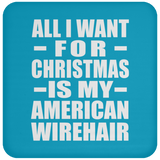 All I Want For Christmas Is My American Wirehair - Coaster