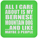 All I Care About Is My Bernese Mountain Dog - Drink Coaster