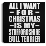 All I Want For Christmas Is My Staffordshire Bull Terrier - Canvas Square