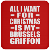 All I Want For Christmas Is My Brussels Griffon - Coaster