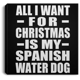 All I Want For Christmas Is My Spanish Water Dog - Canvas Square