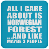 All I Care About Is Norwegian Forest - Drink Coaster